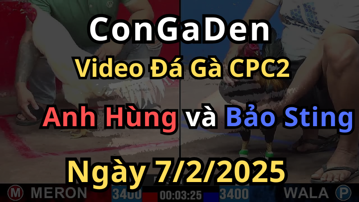 Bảo Sting Chấp 6 Chấm Vẫn Đá Như Cái Máy CPC2 7/2/2025