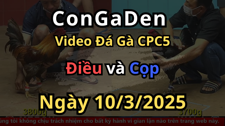 Chấp Nhẹ 1 Chấm Xong Bay Màu CPC4 10/3/2025