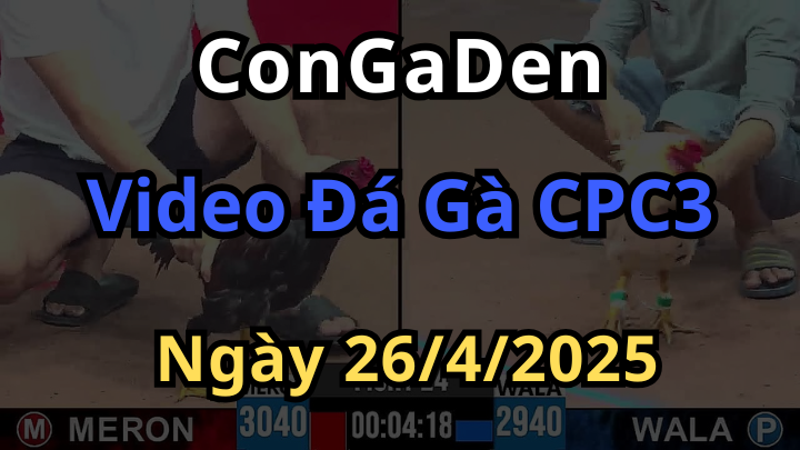 Phát lại Đá Gà CPC3 ngày 26/4/2025