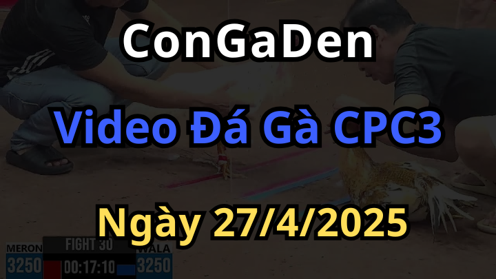 Xem Đá Gà CPC3 trực tiếp ngày 27/4/2025