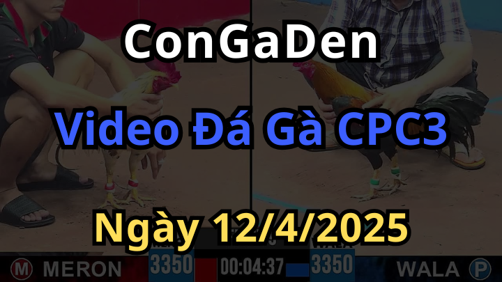 Video Đá Gà CPC3 Ngày 12/4/2025 Trực Tiếp Hôm Nay
