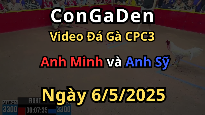 Gà Má Minh hạ gầm đá mu lưng cực đỉnh CPC3 6/5/2025