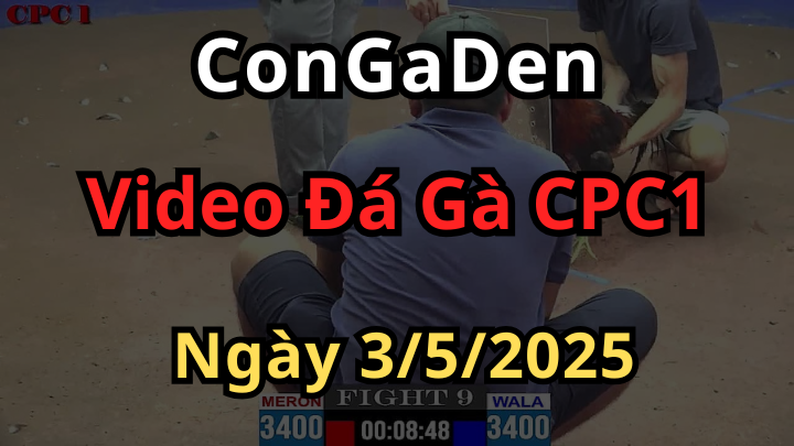 Xem Đá Gà Trực Tiếp CPC1 Thomo ngày 3/5/2025